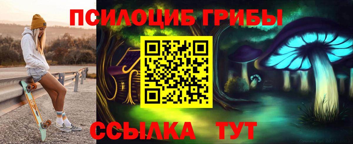 Саранск  Псилоцибиновые грибы Magic Shrooms  Вход с VPN 